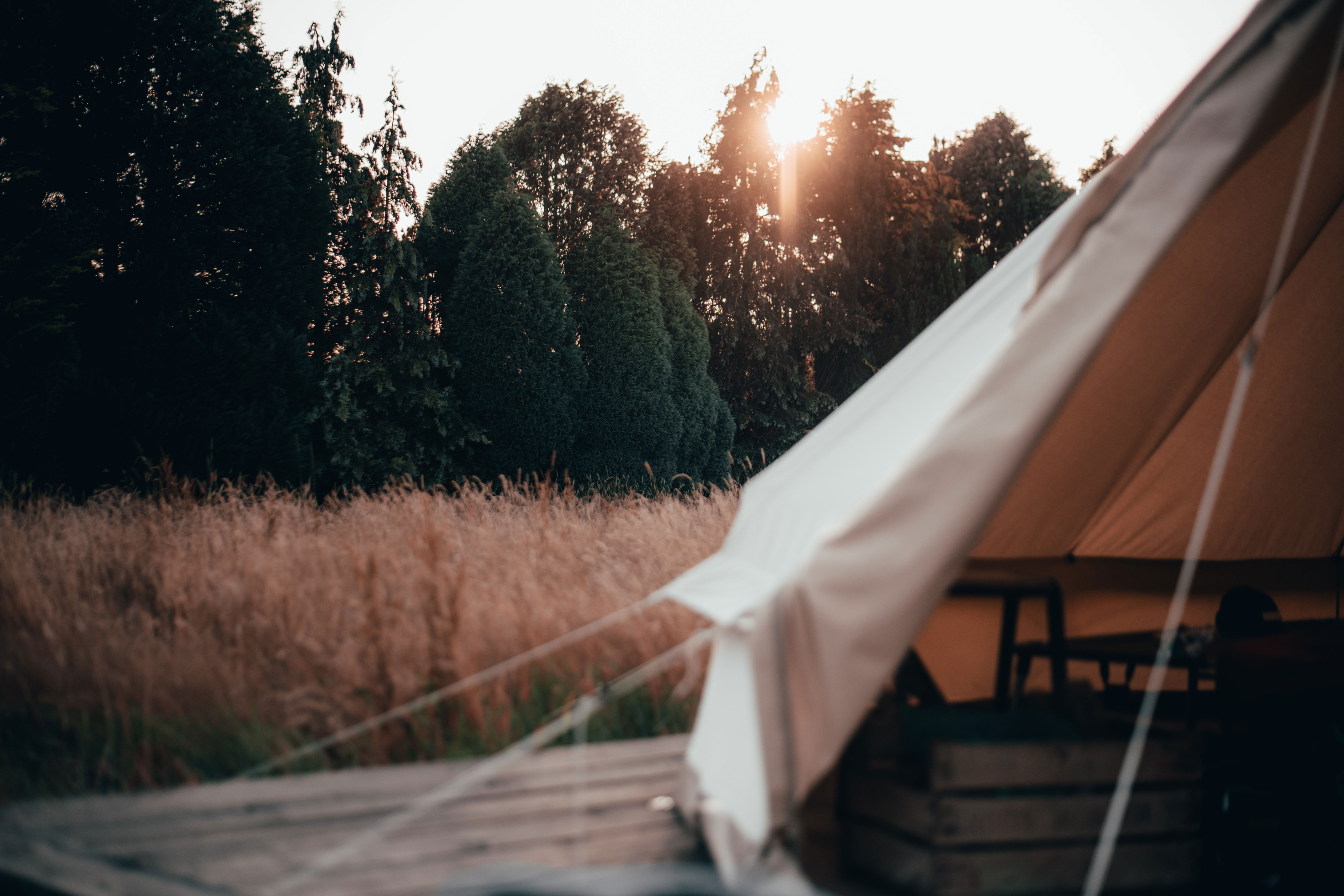 Adobestock 449744307