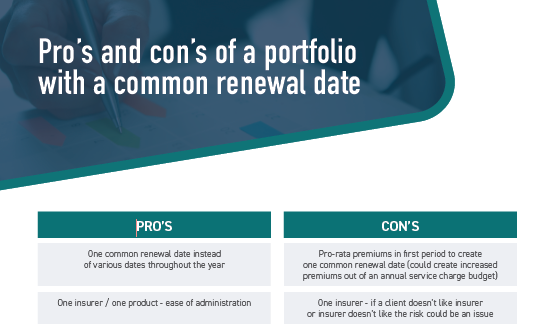 Pros And Cons Of A Portfolio
